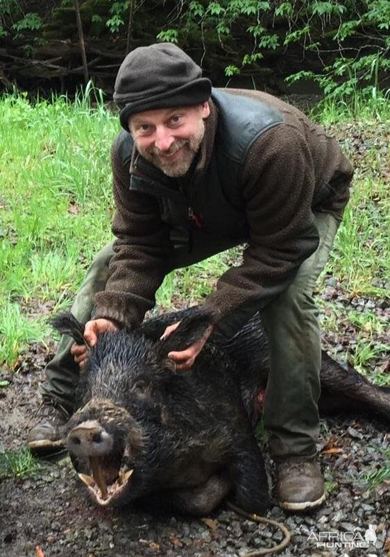 Hunting Hog in Northern California USA