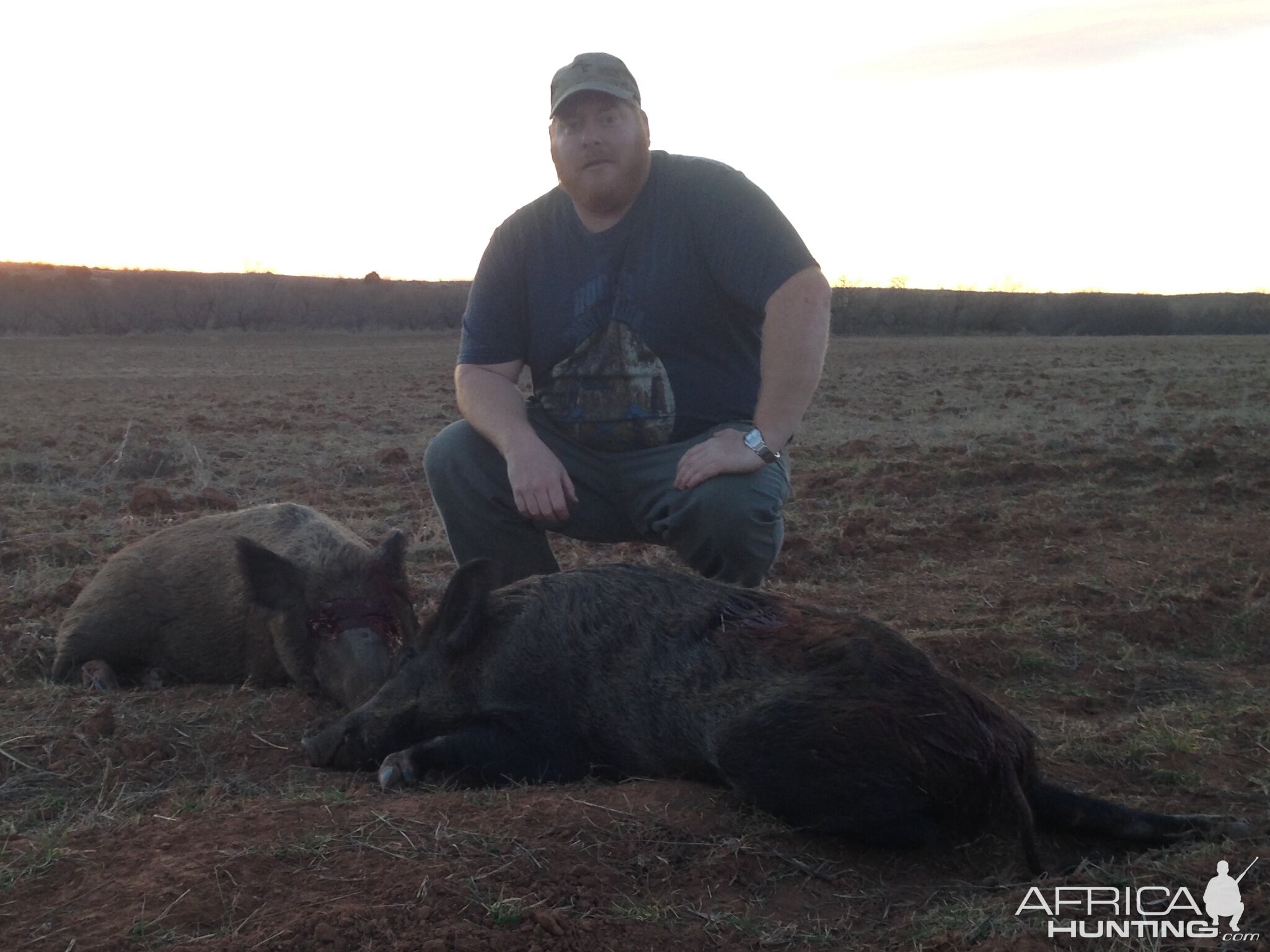 Hunting Hog in Texas USA