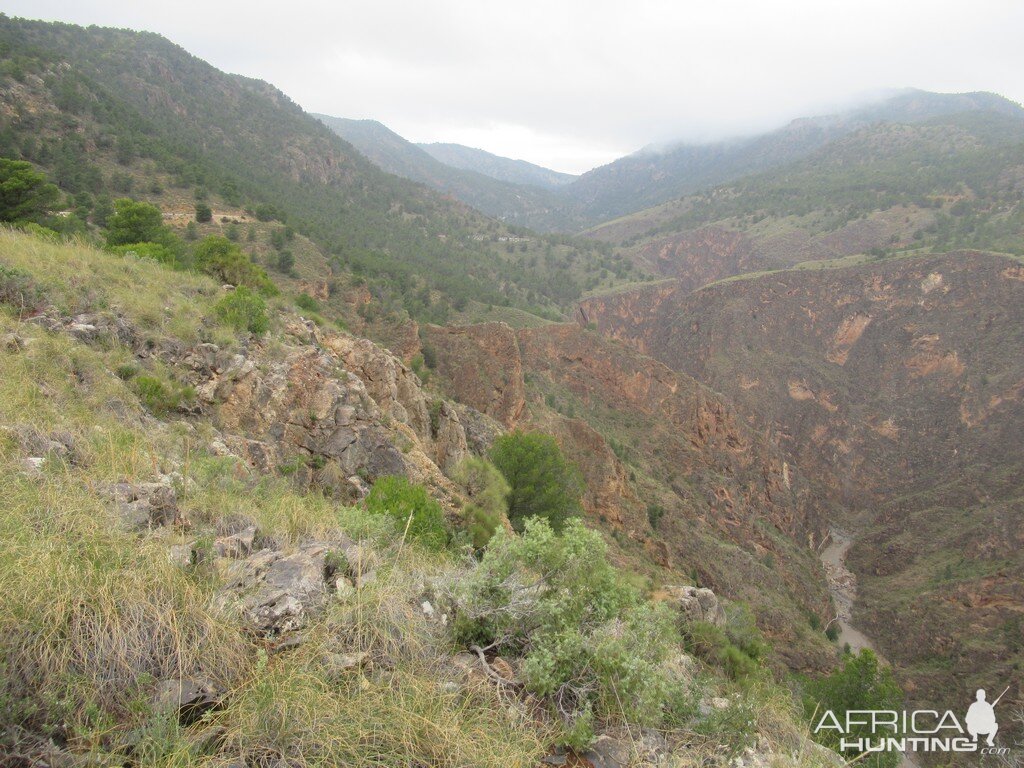 Hunting Ibex in Spain