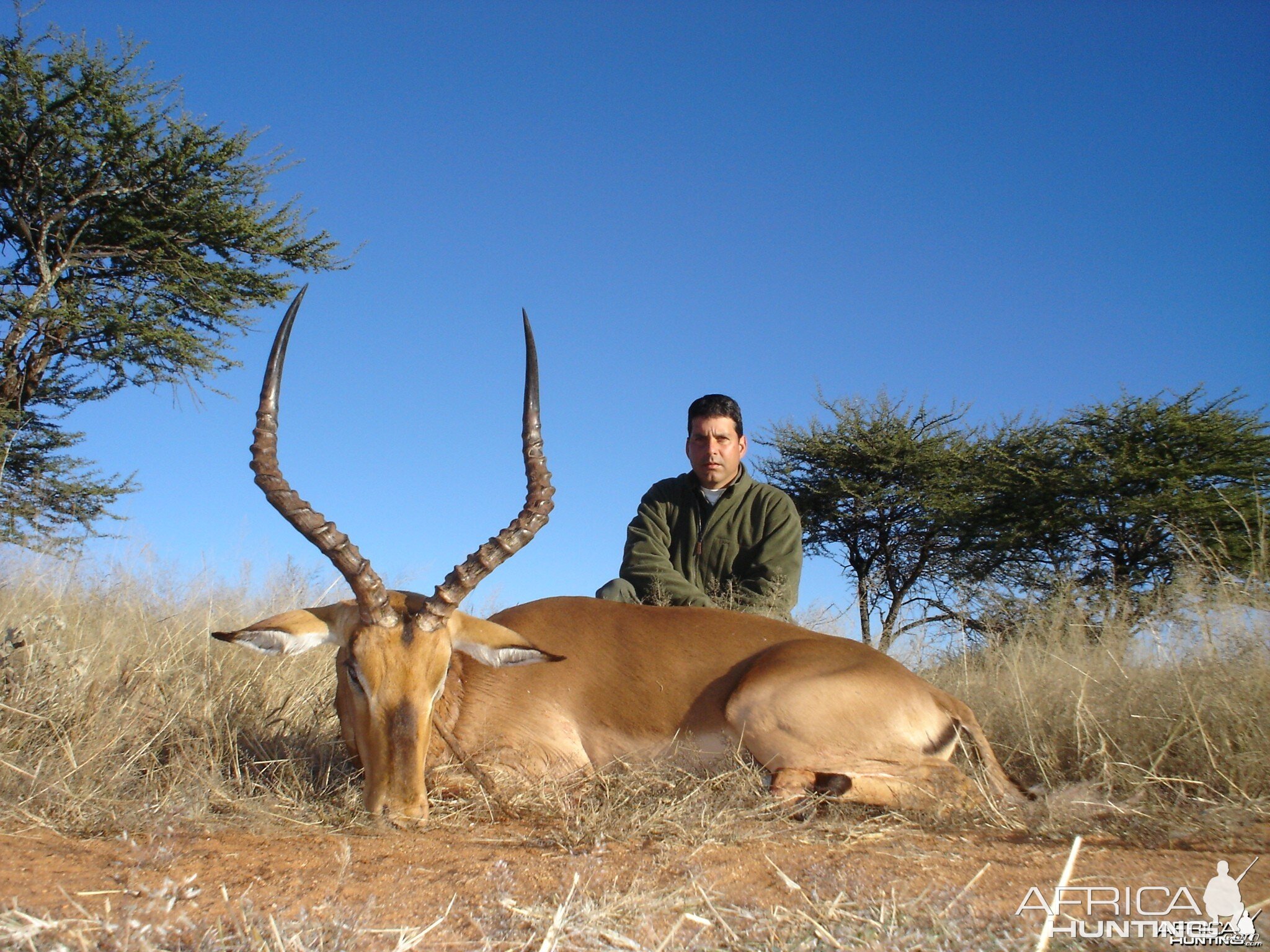 Hunting Impala in Namibia