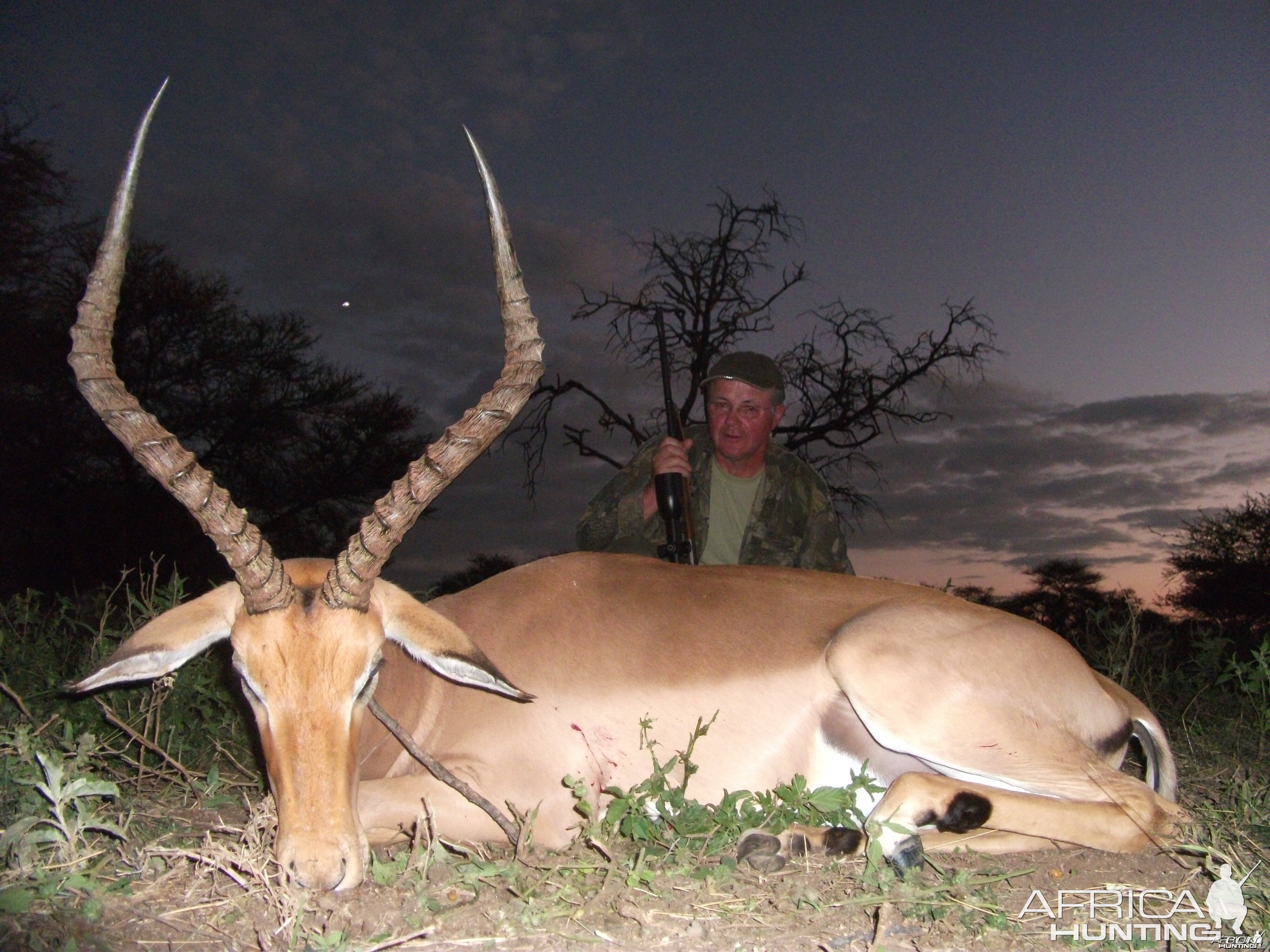 Hunting Impala in Namibia