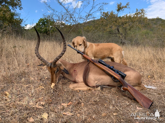 Hunting Impala in South Africa