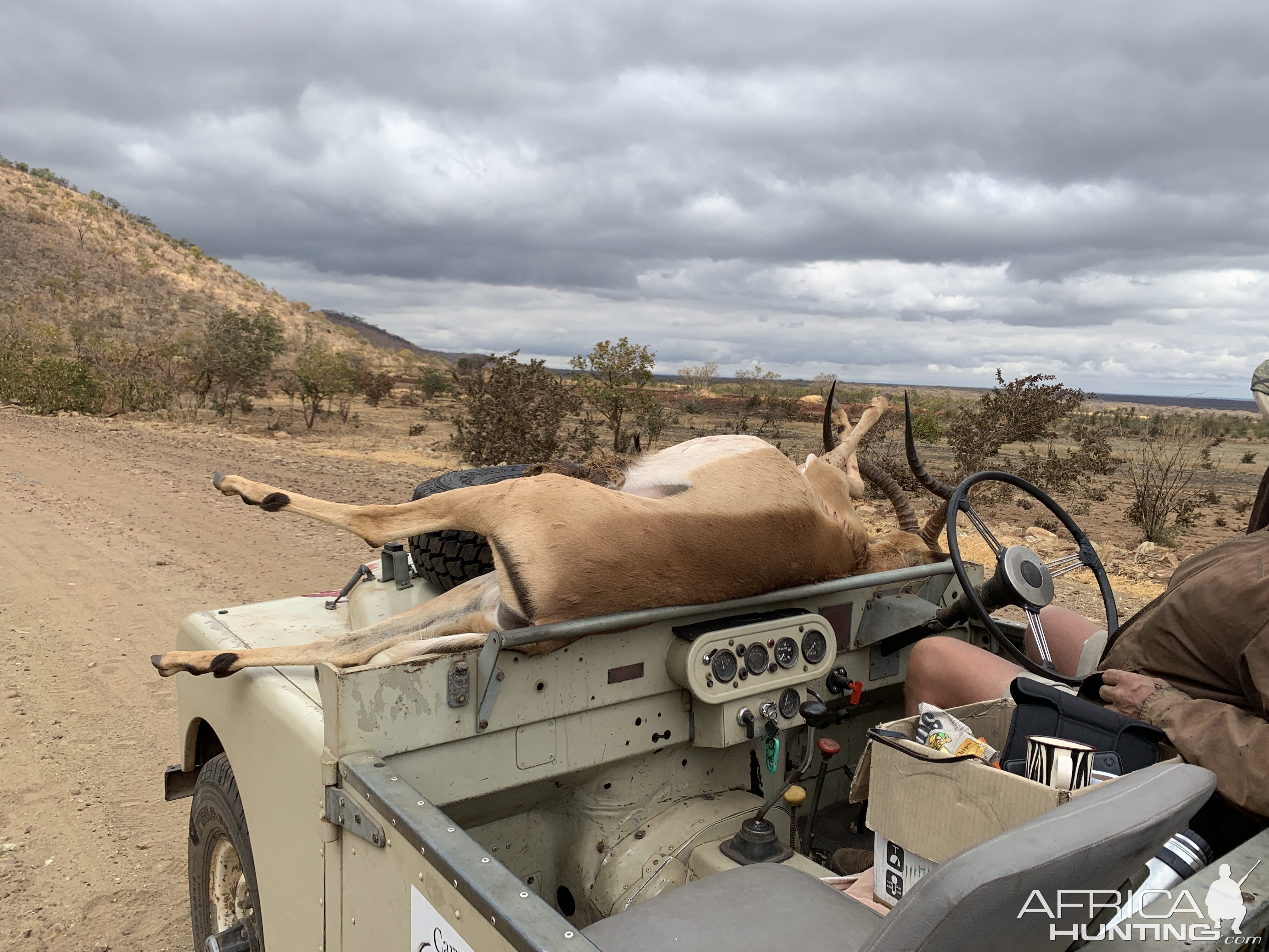 Hunting Impala in Zimbabwe