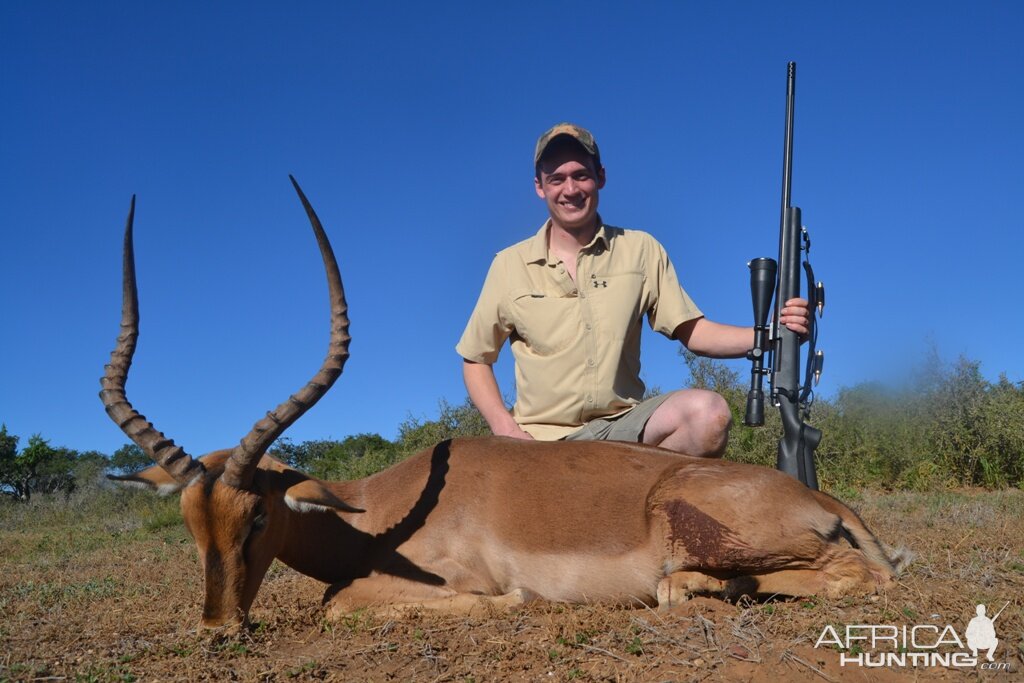 Hunting Impala South Africa