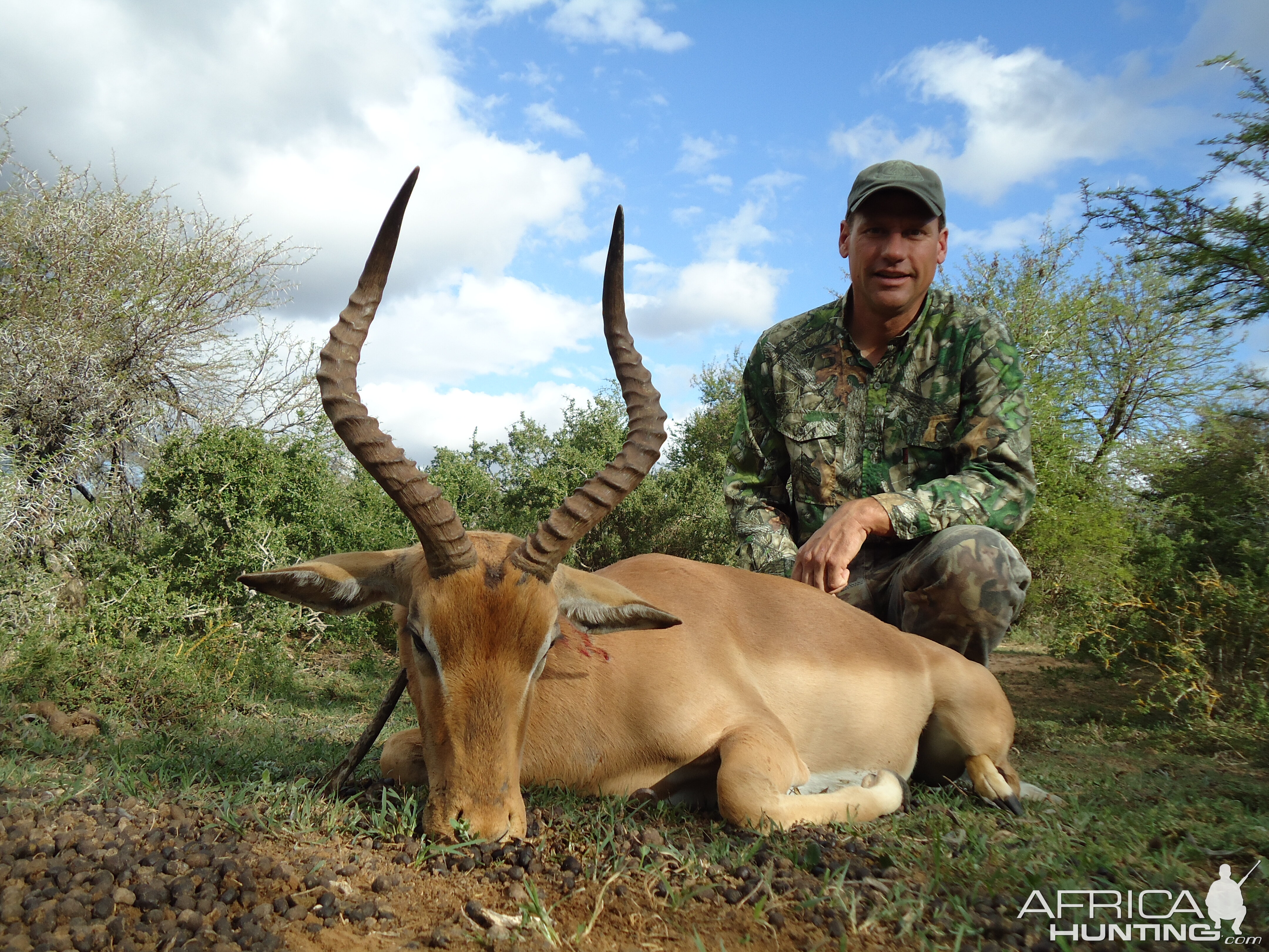 Hunting Impala South Africa