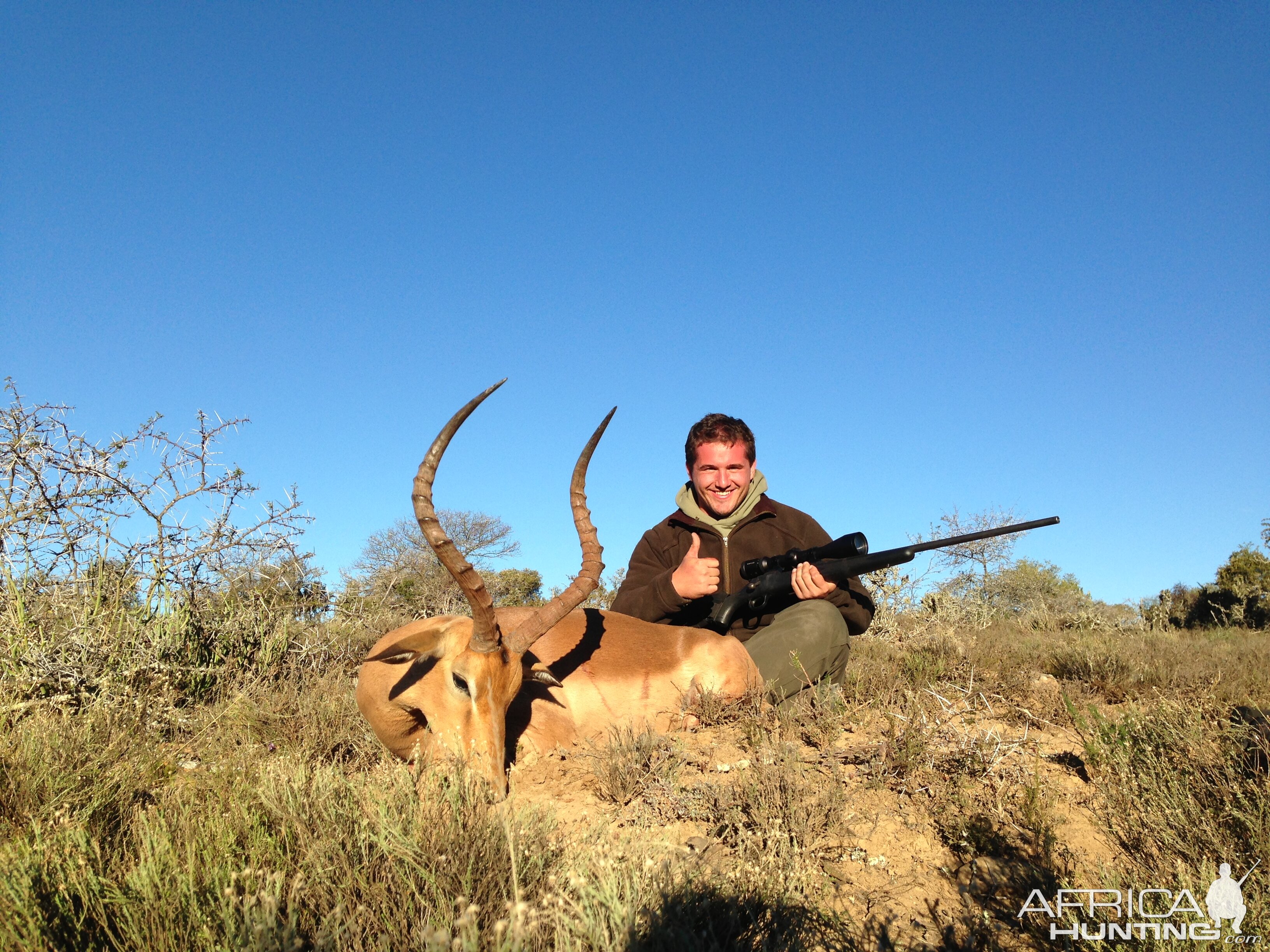 Hunting Impala South Africa