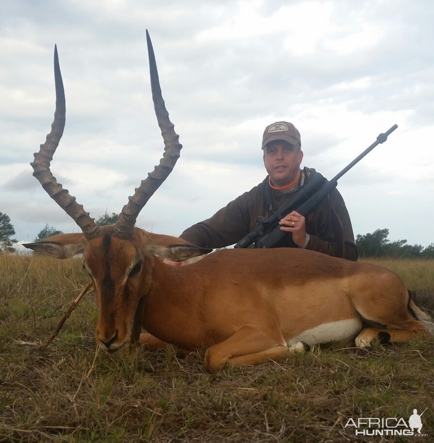 Hunting Impala South Africa