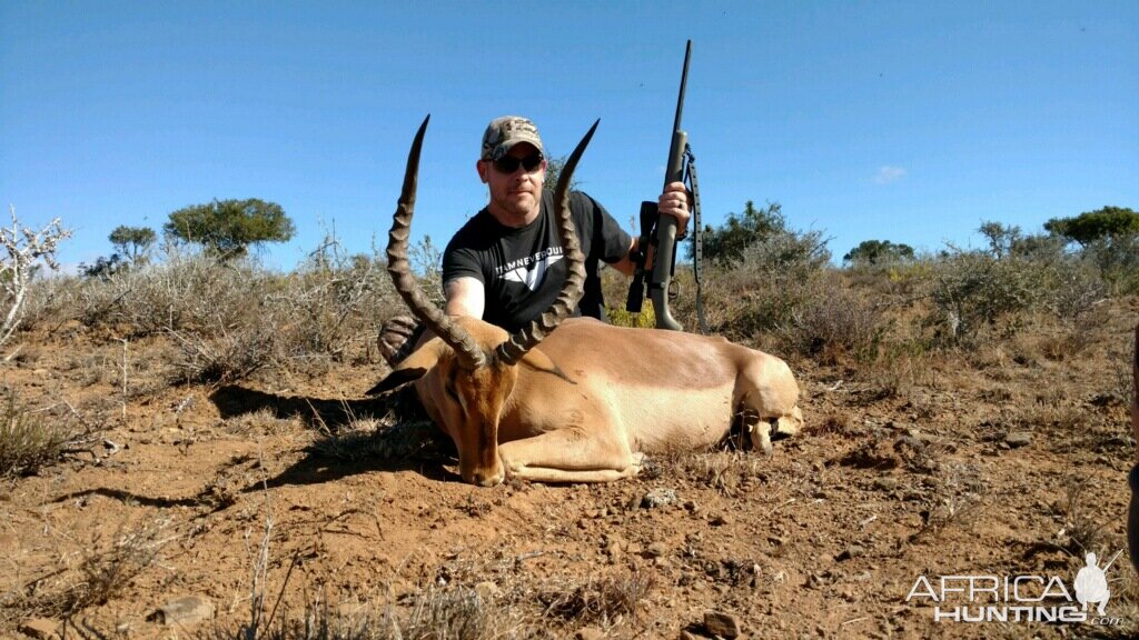 Hunting Impala South Africa