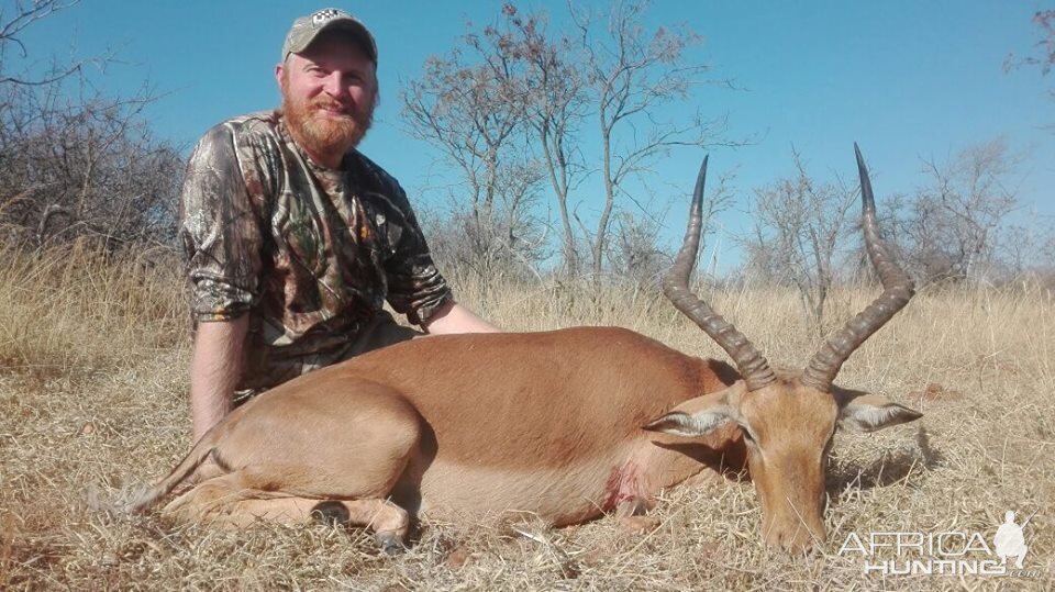 Hunting Impala South Africa