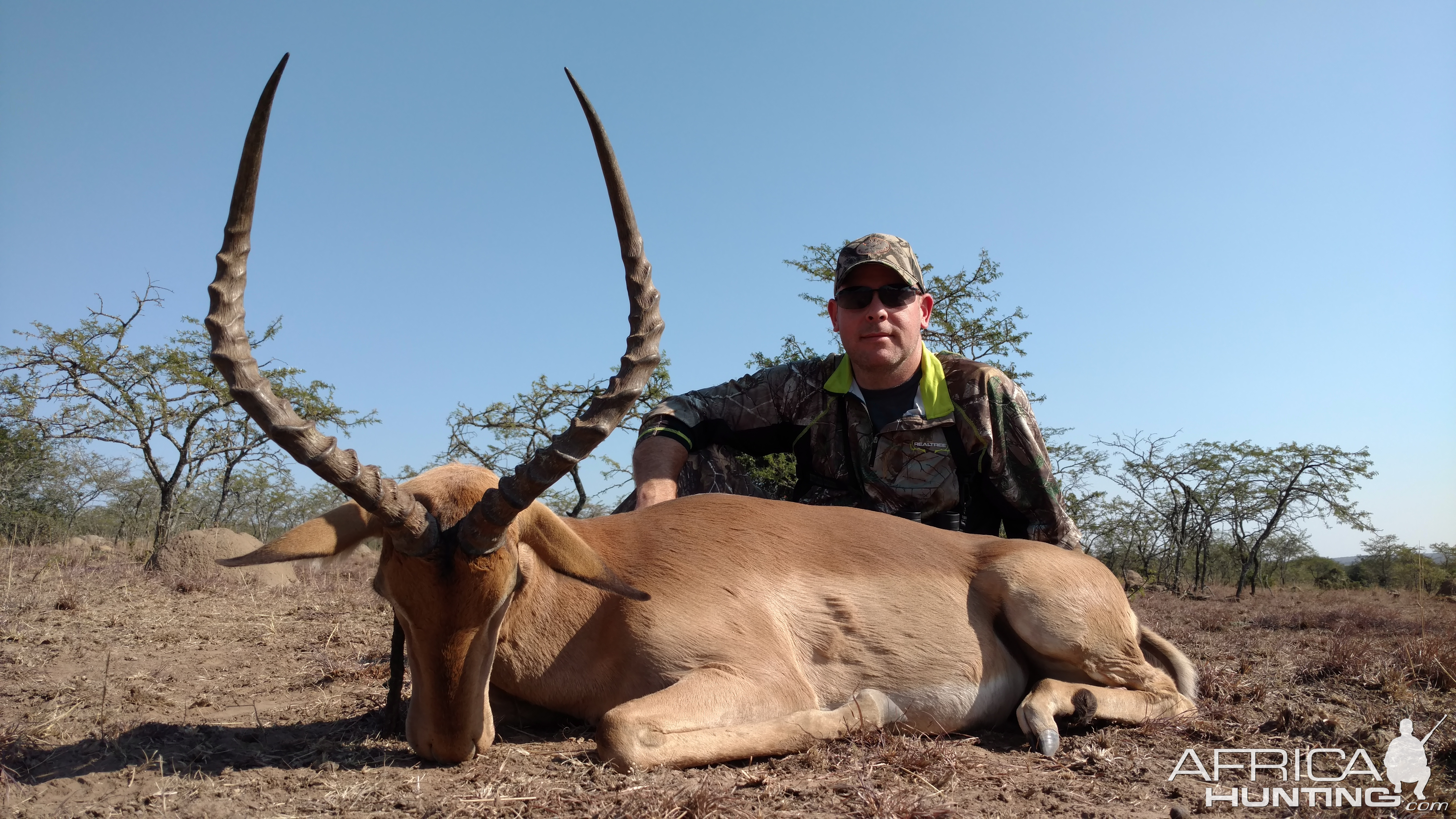 Hunting Impala South Africa