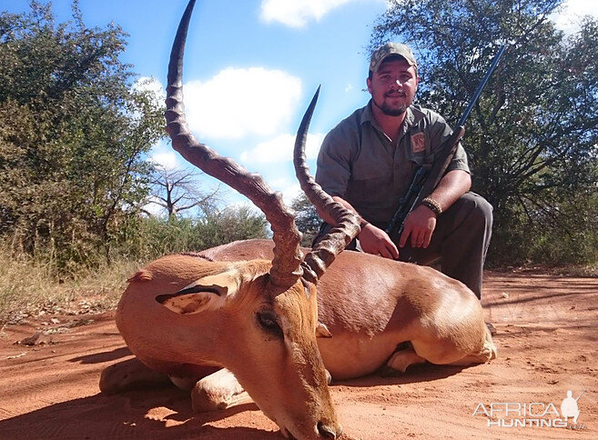 Hunting Impala South Africa