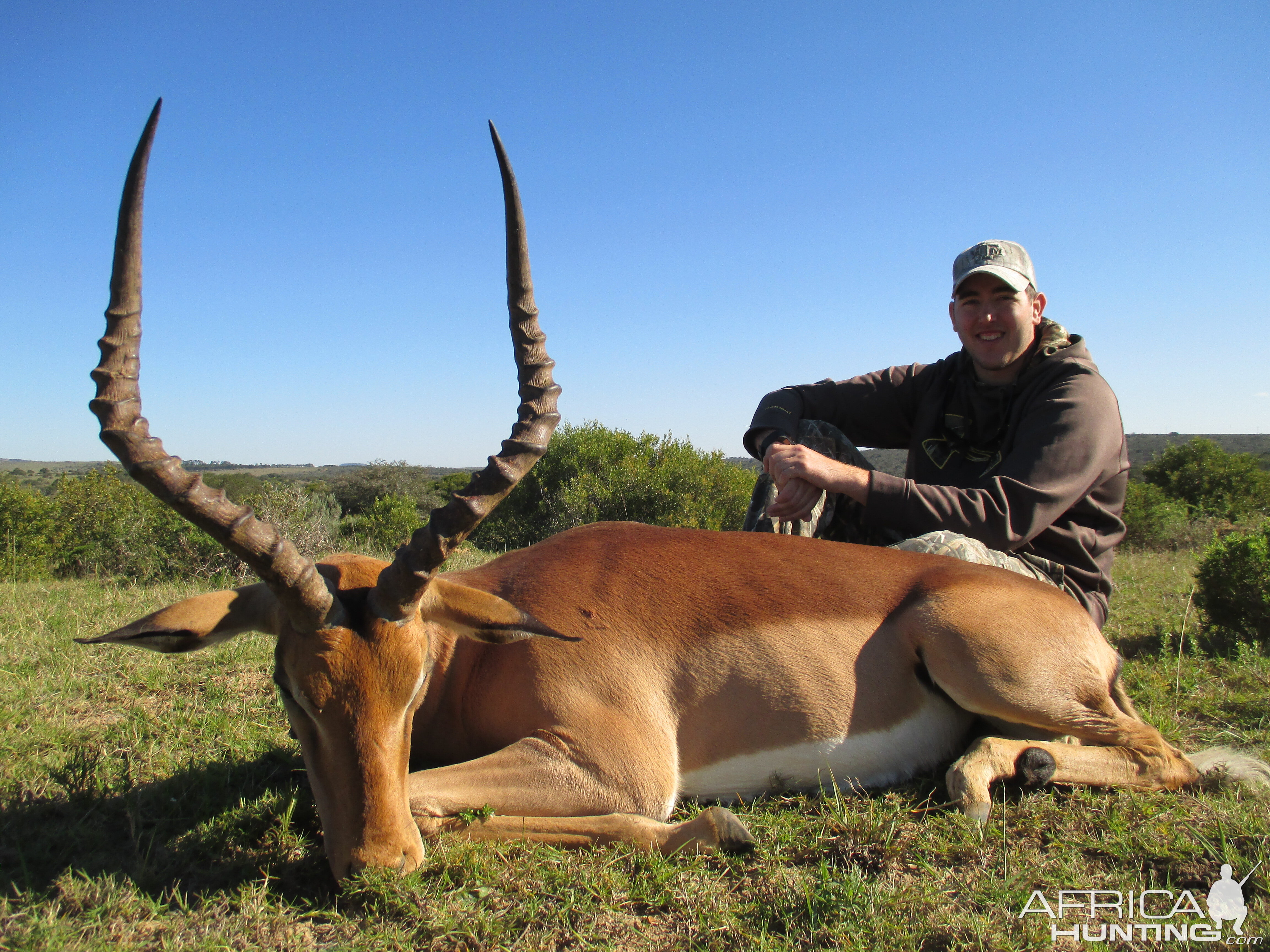 Hunting Impala South Africa