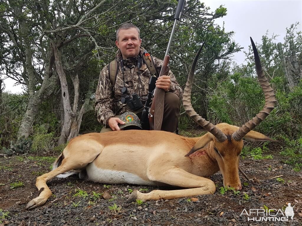 Hunting Impala South Africa