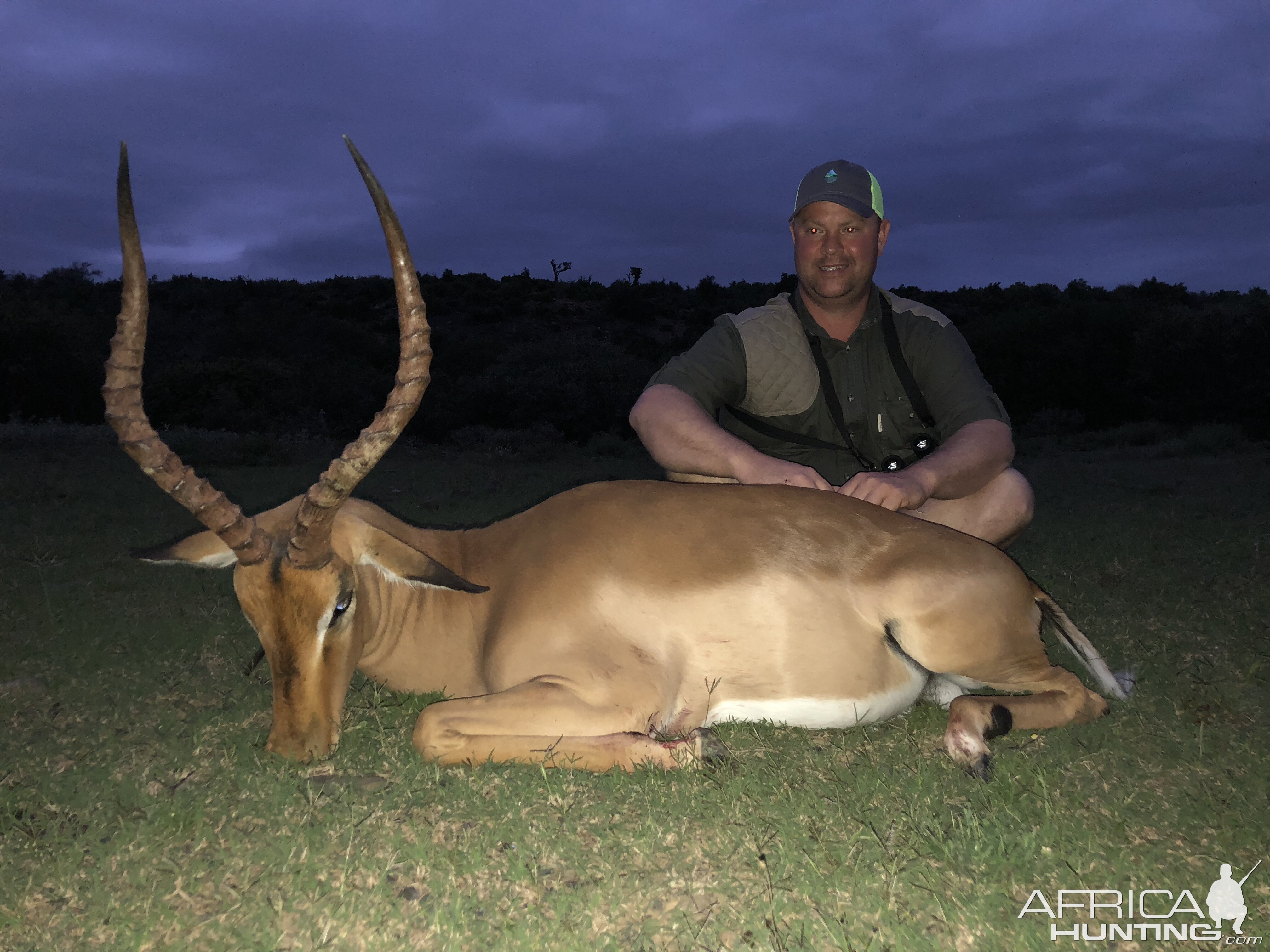 Hunting Impala South Africa