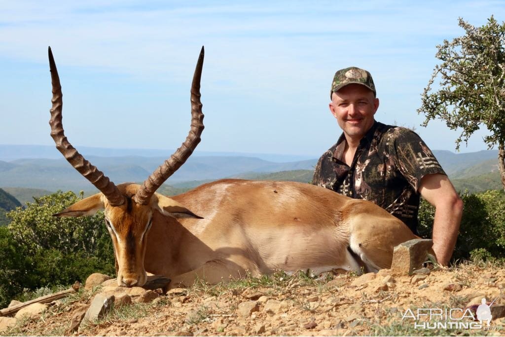 Hunting Impala South Africa