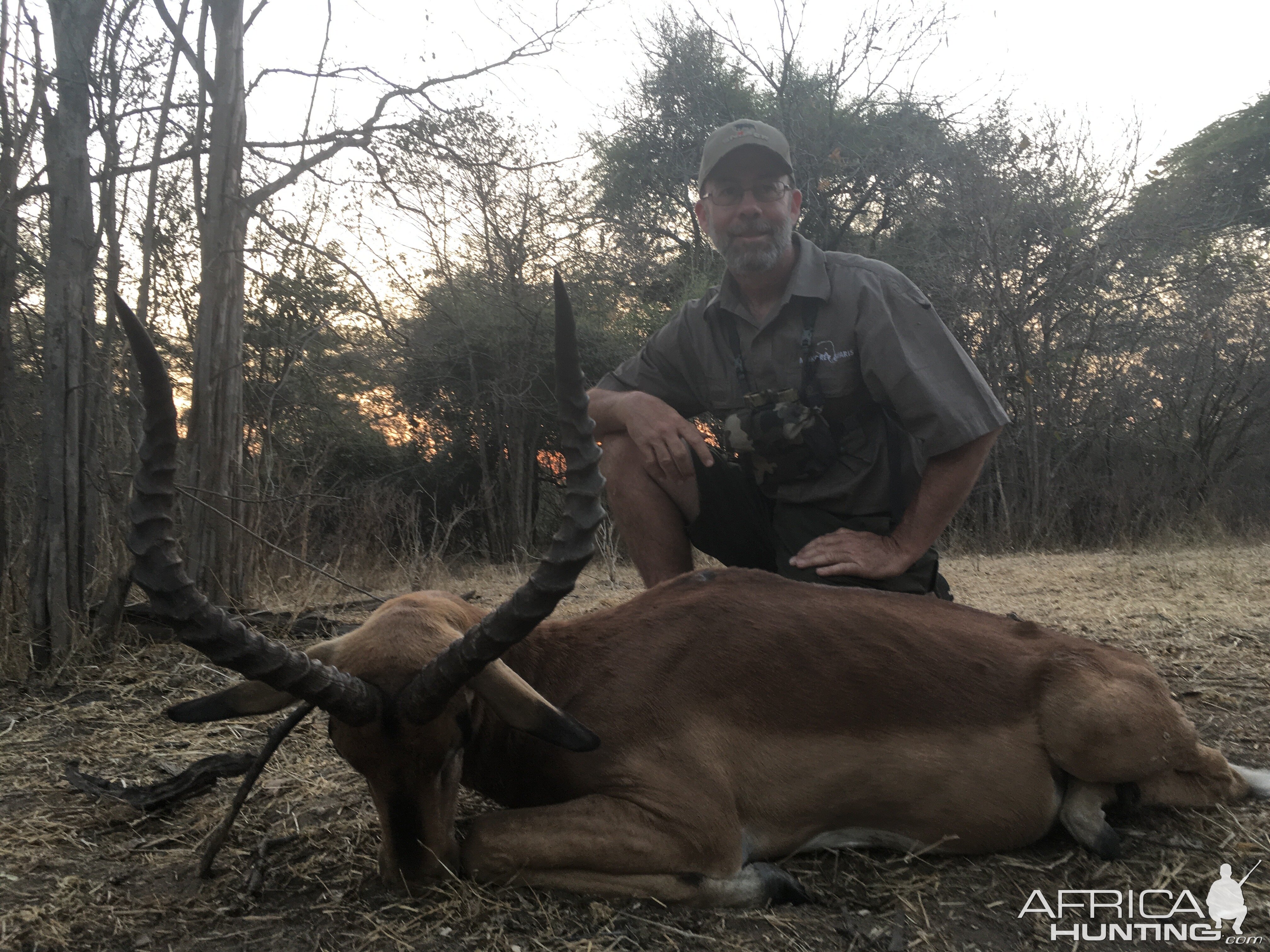 Hunting Impala Zimbabwe