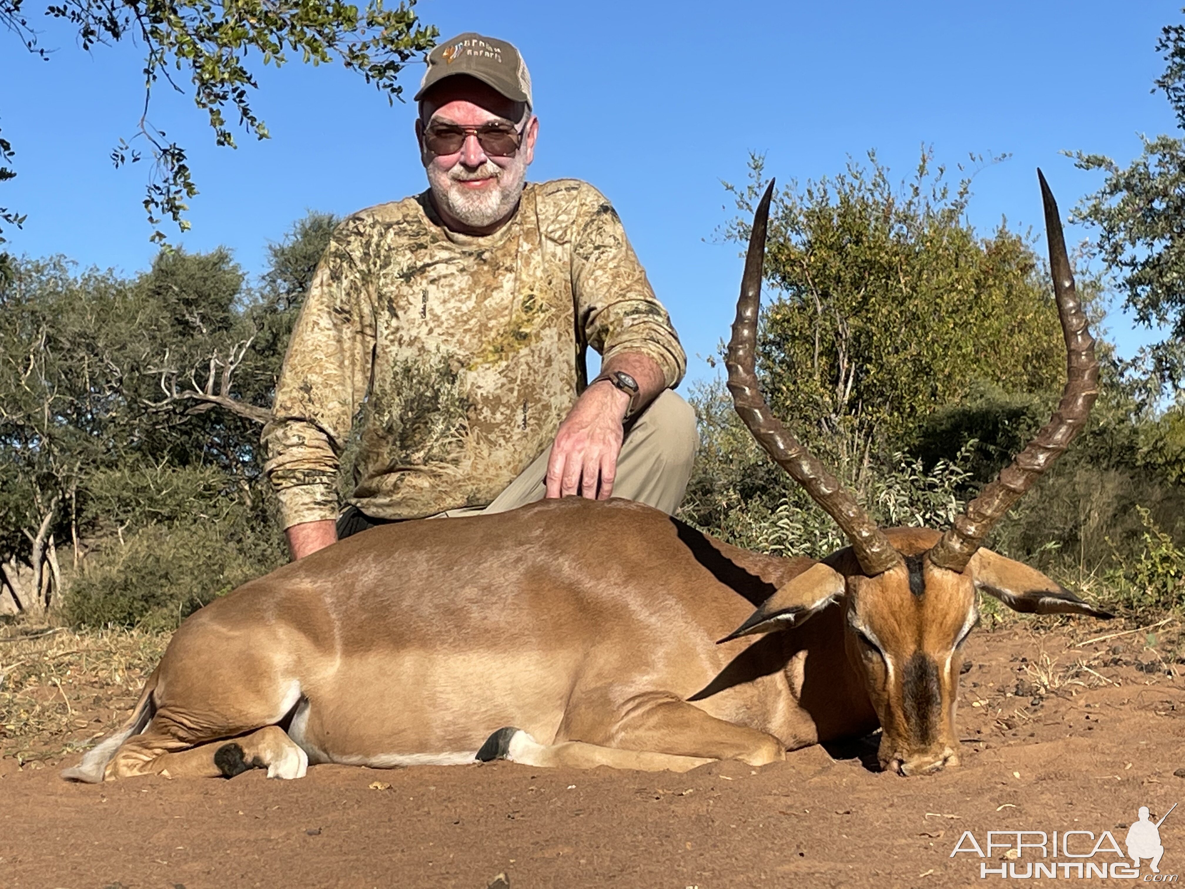 Hunting Impala