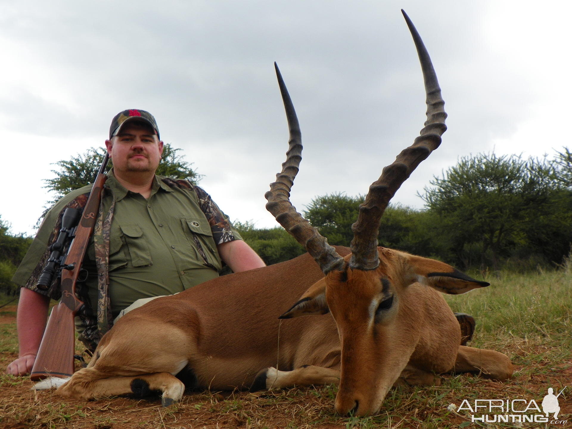 Hunting Impala