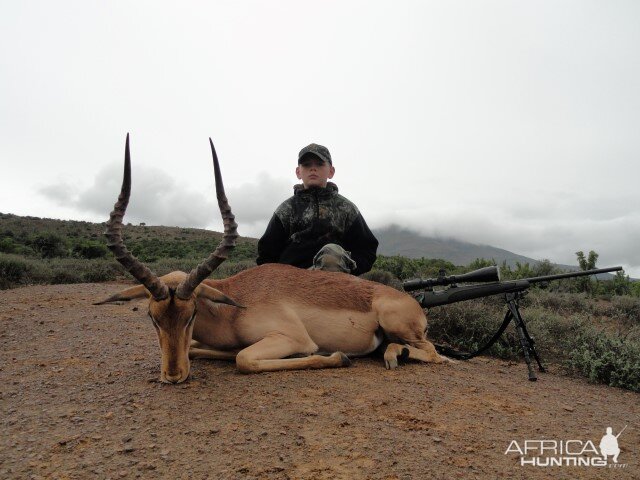 Hunting Impala