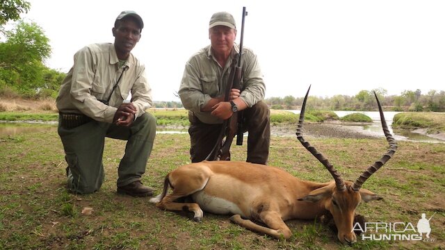 Hunting Impala