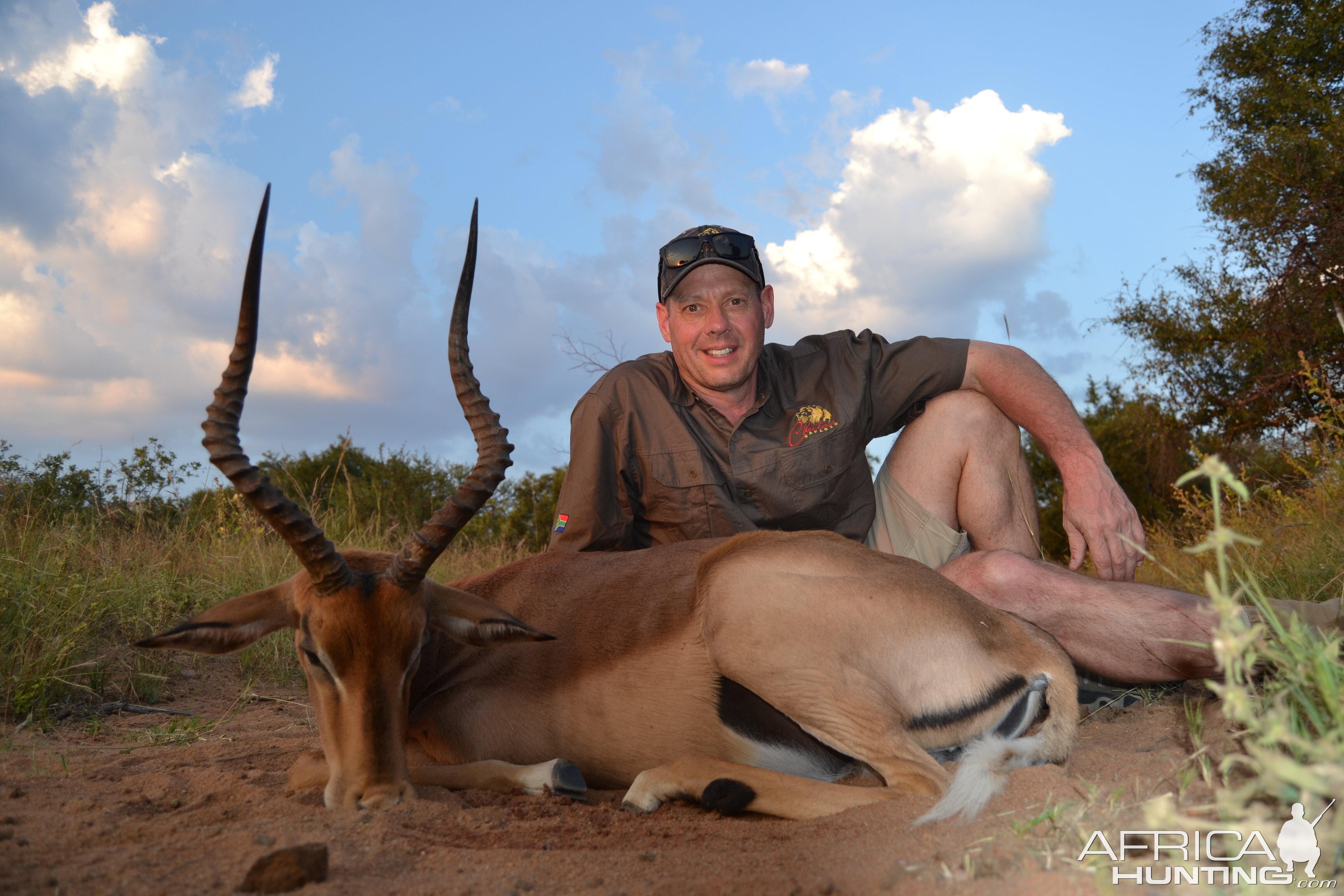 Hunting Impala