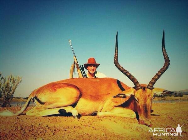 Hunting Impala