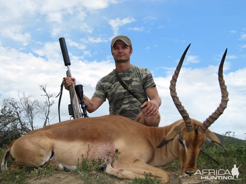 Hunting Impala