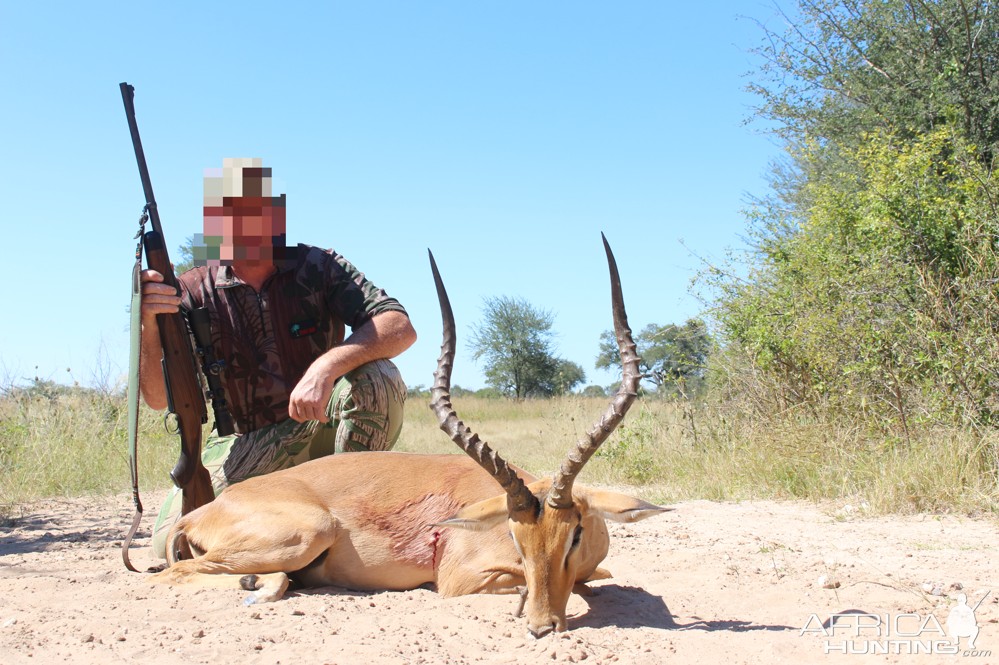 Hunting Impala