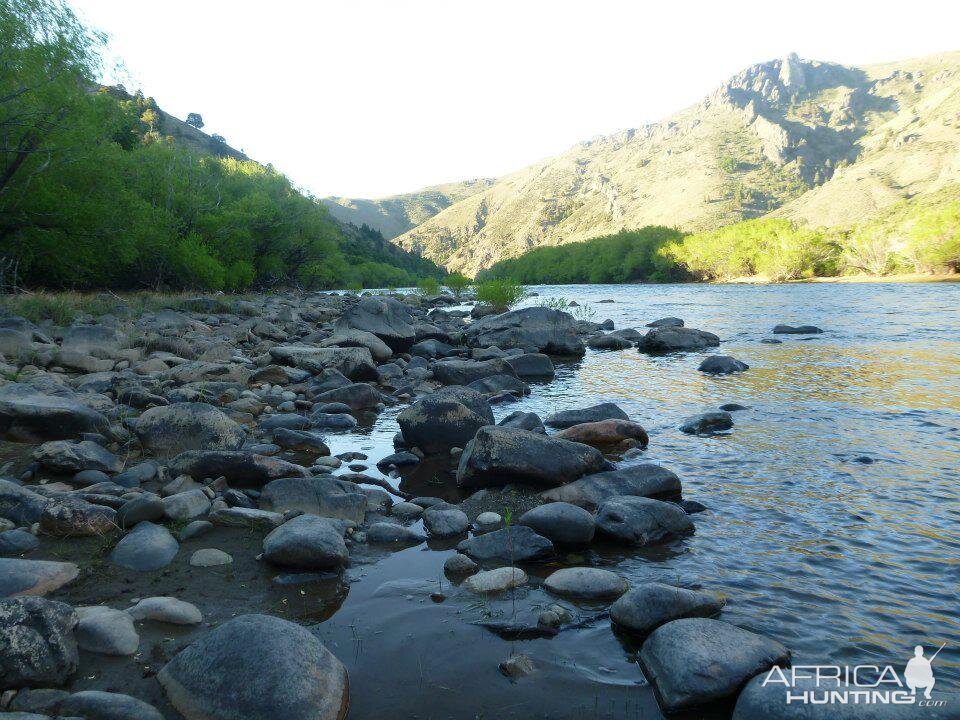 Hunting in Argentina