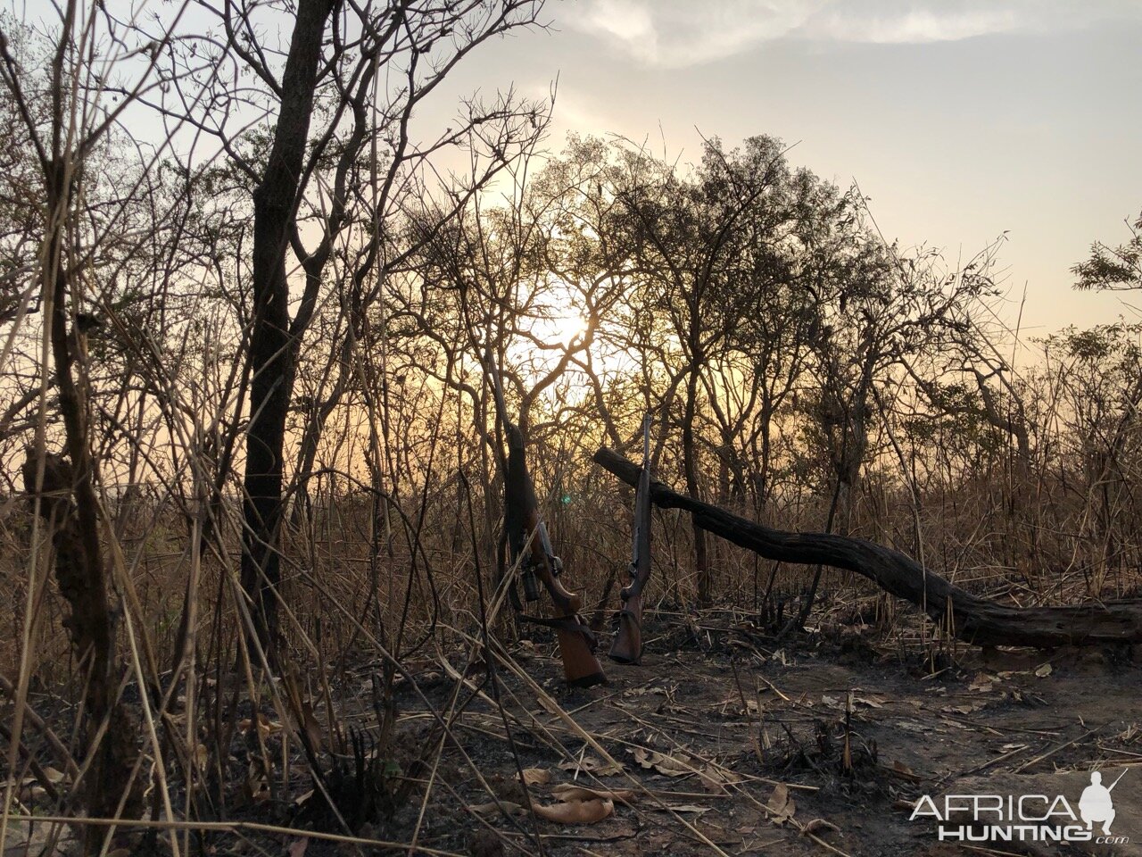 Hunting in Cameroon