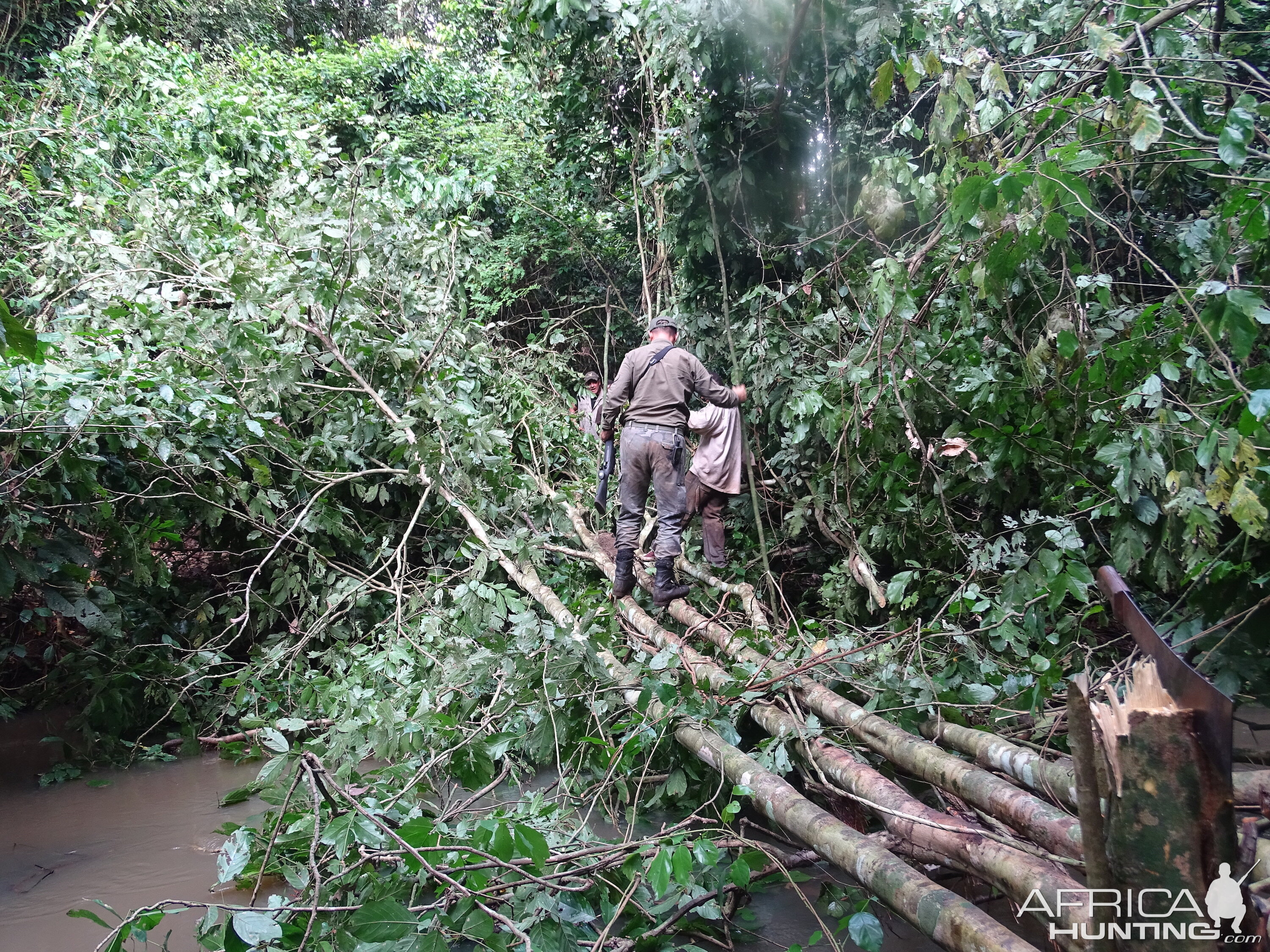 Hunting in Congo