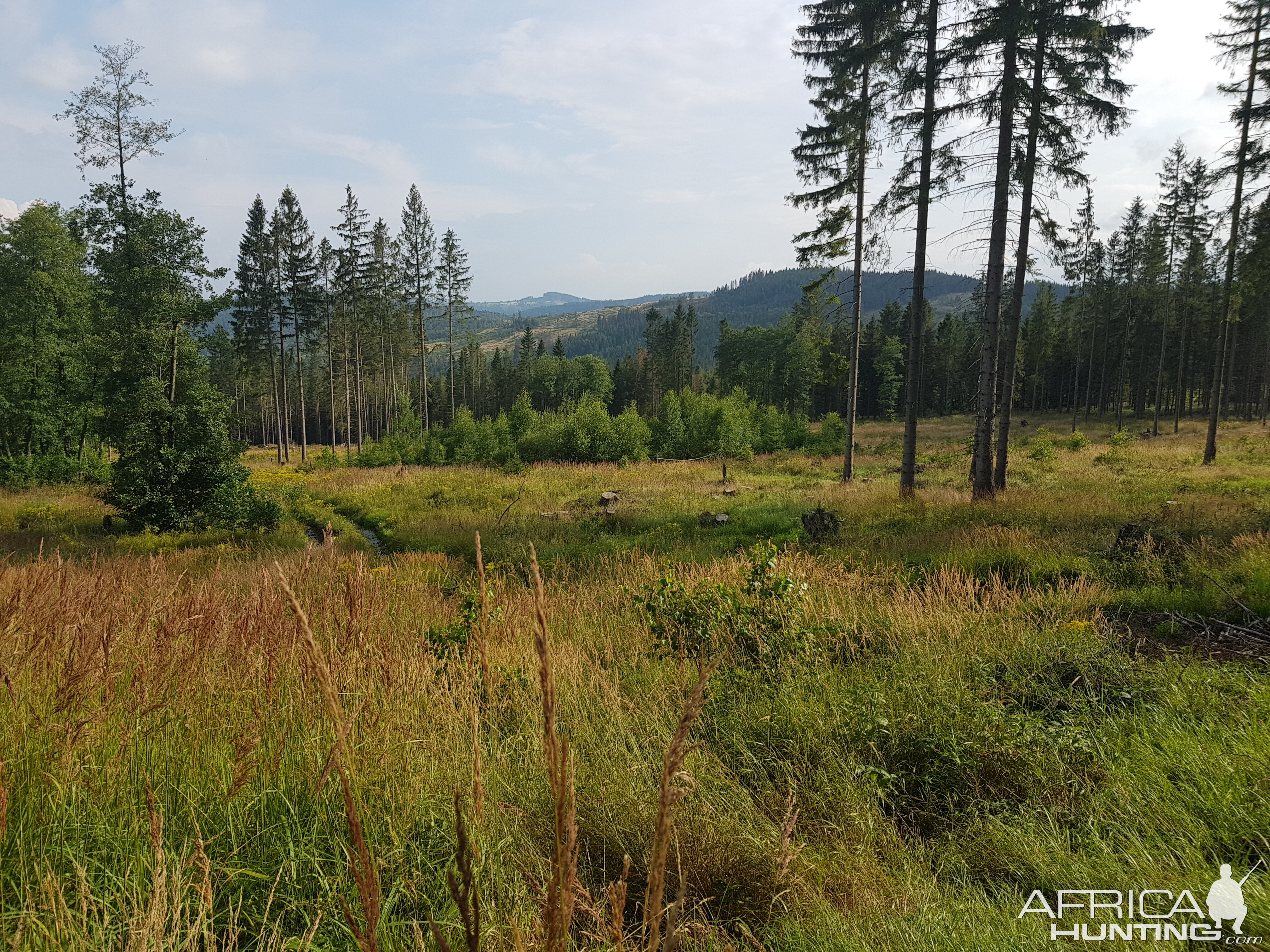 Hunting in Czech Republic