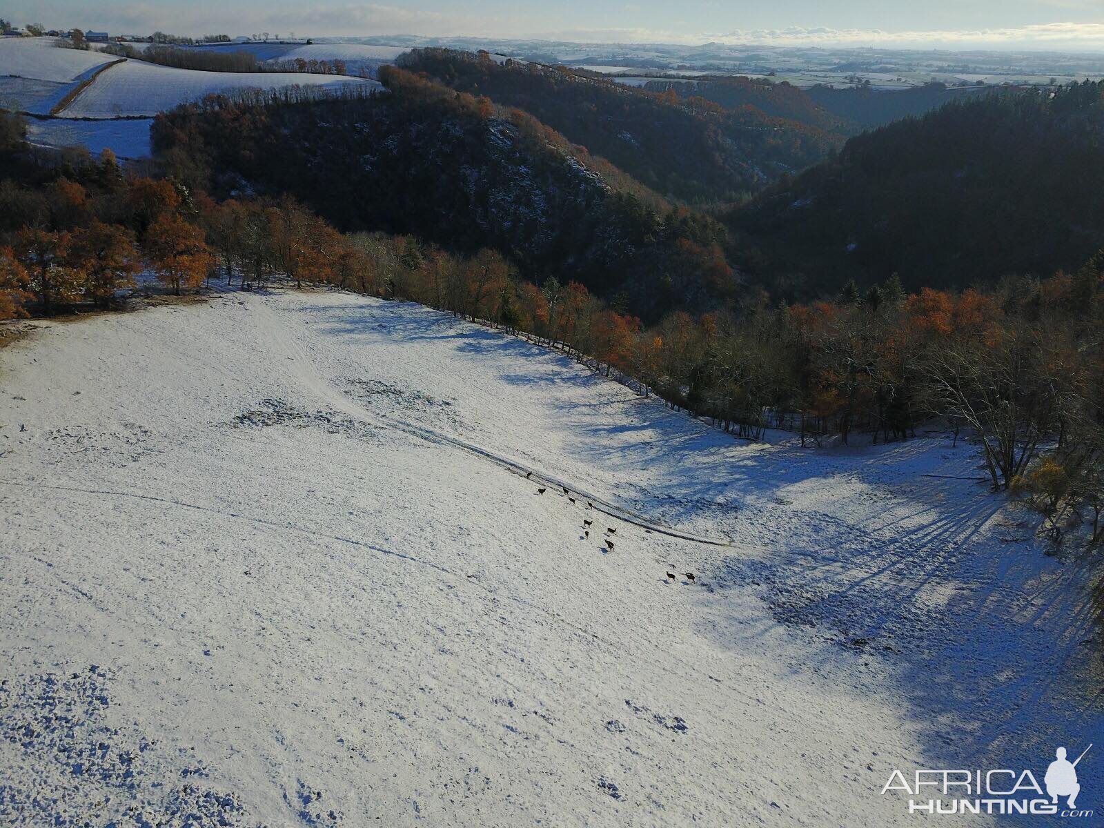 Hunting in France