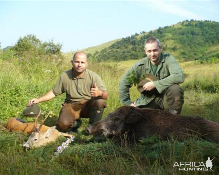 Hunting in Hungary Boar and Roe Deer