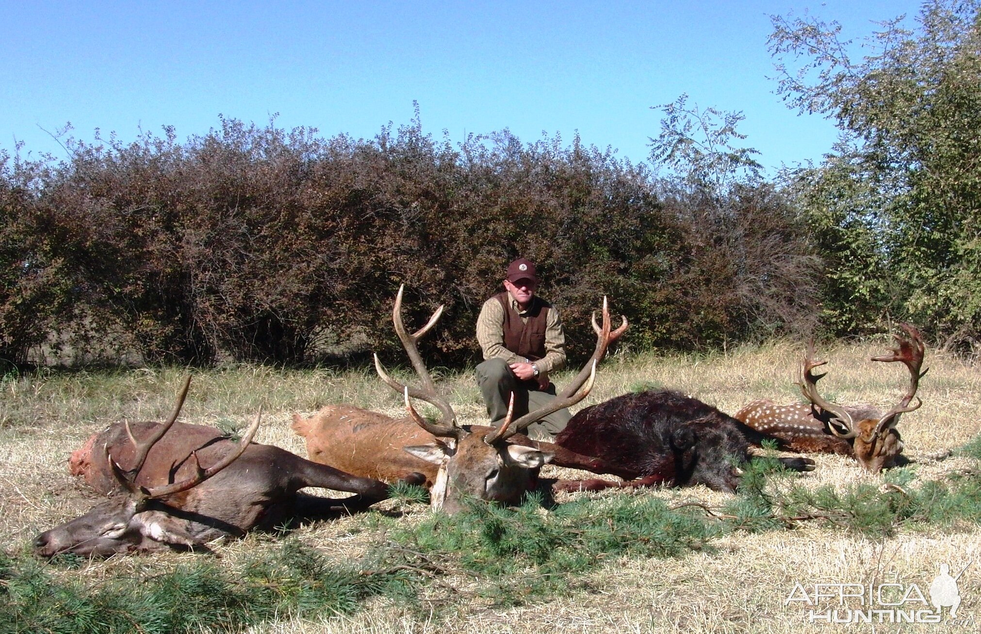 Hunting in Hungary