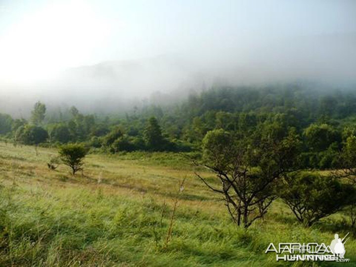 Hunting in Hungary