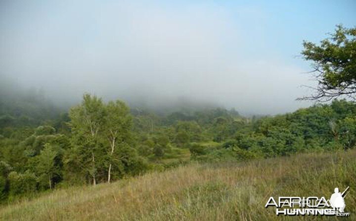 Hunting in Hungary