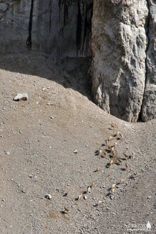 Hunting in Kyrgyzstan