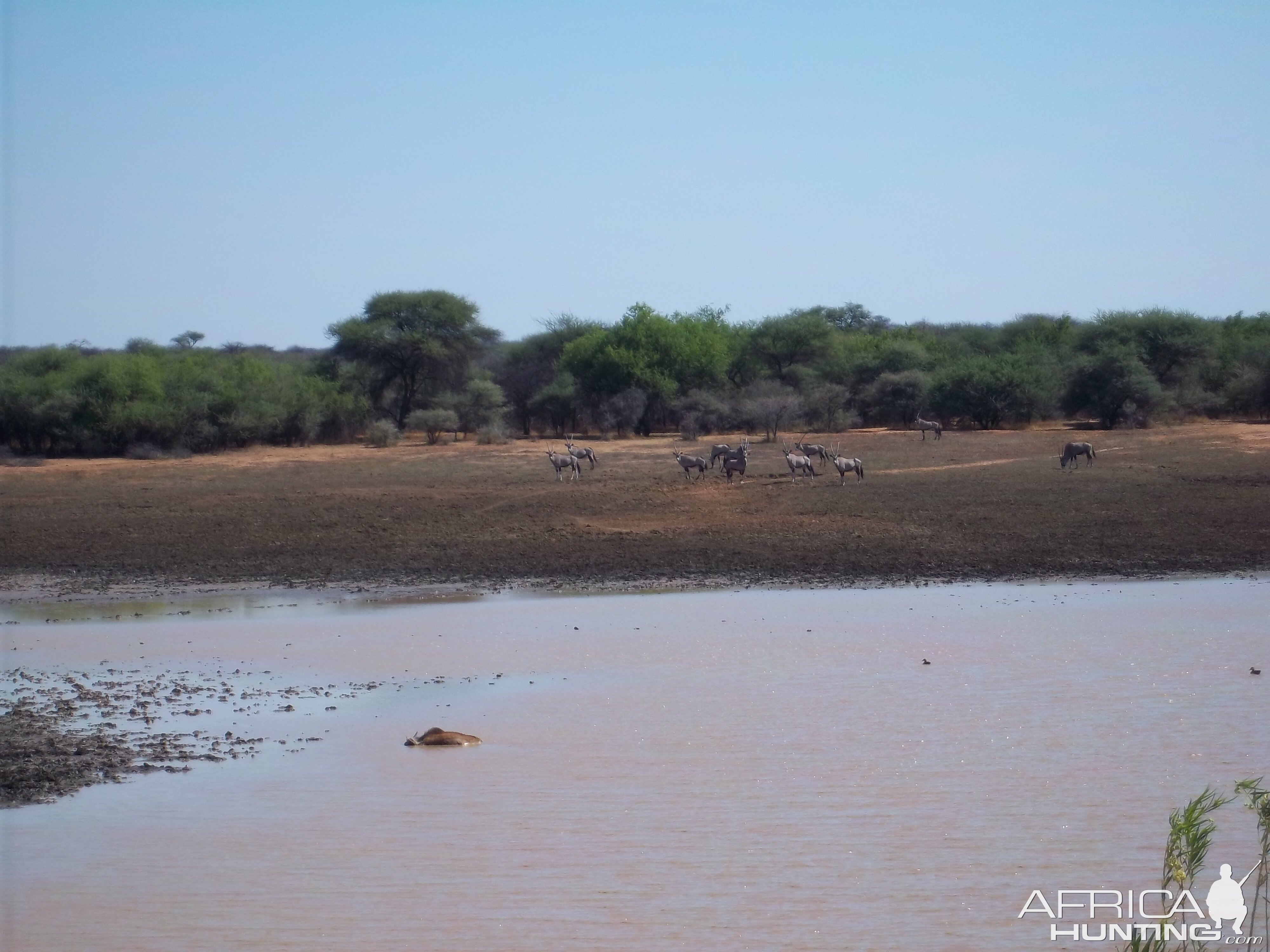 Hunting in Namibia