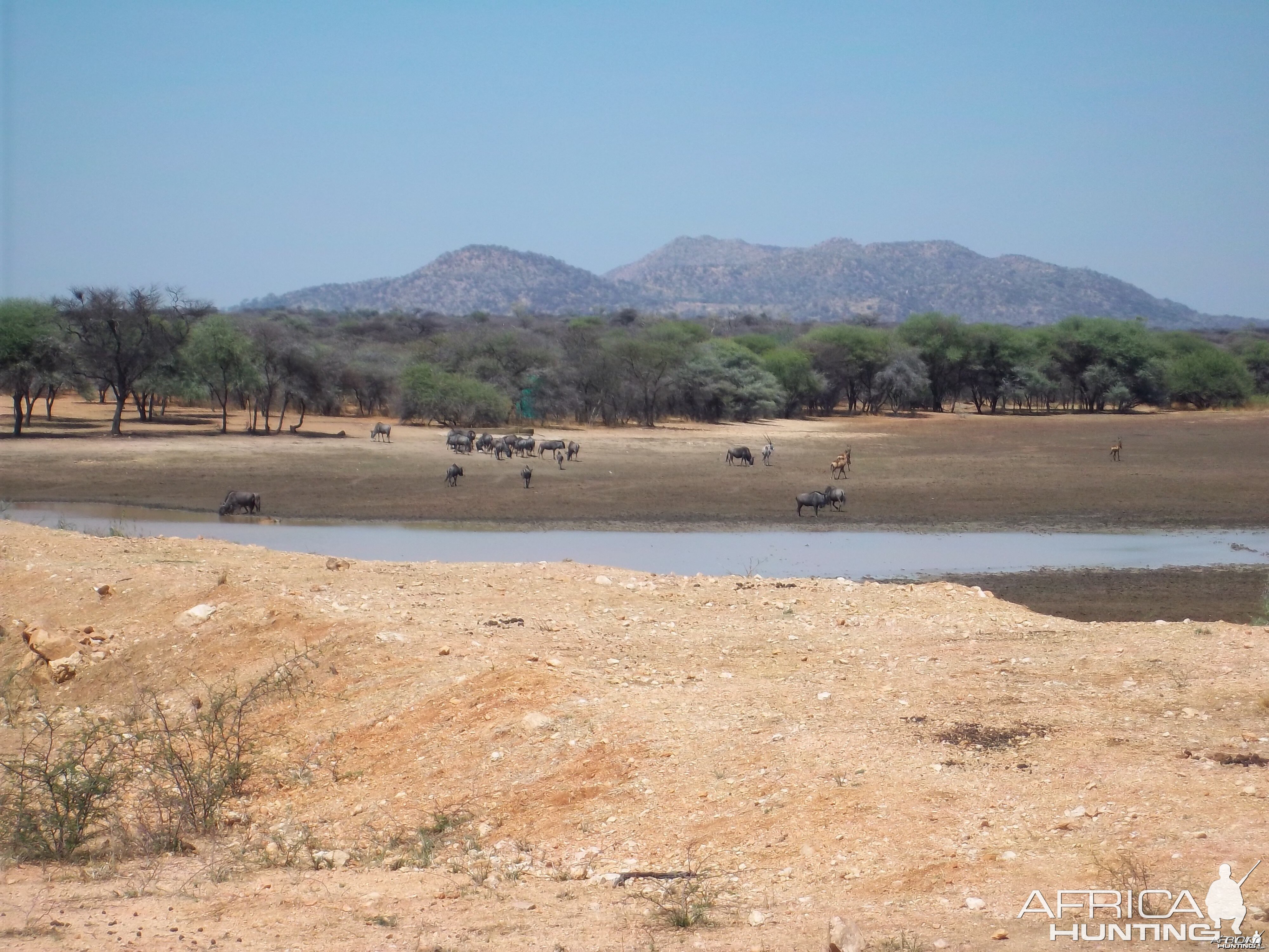 Hunting in Namibia