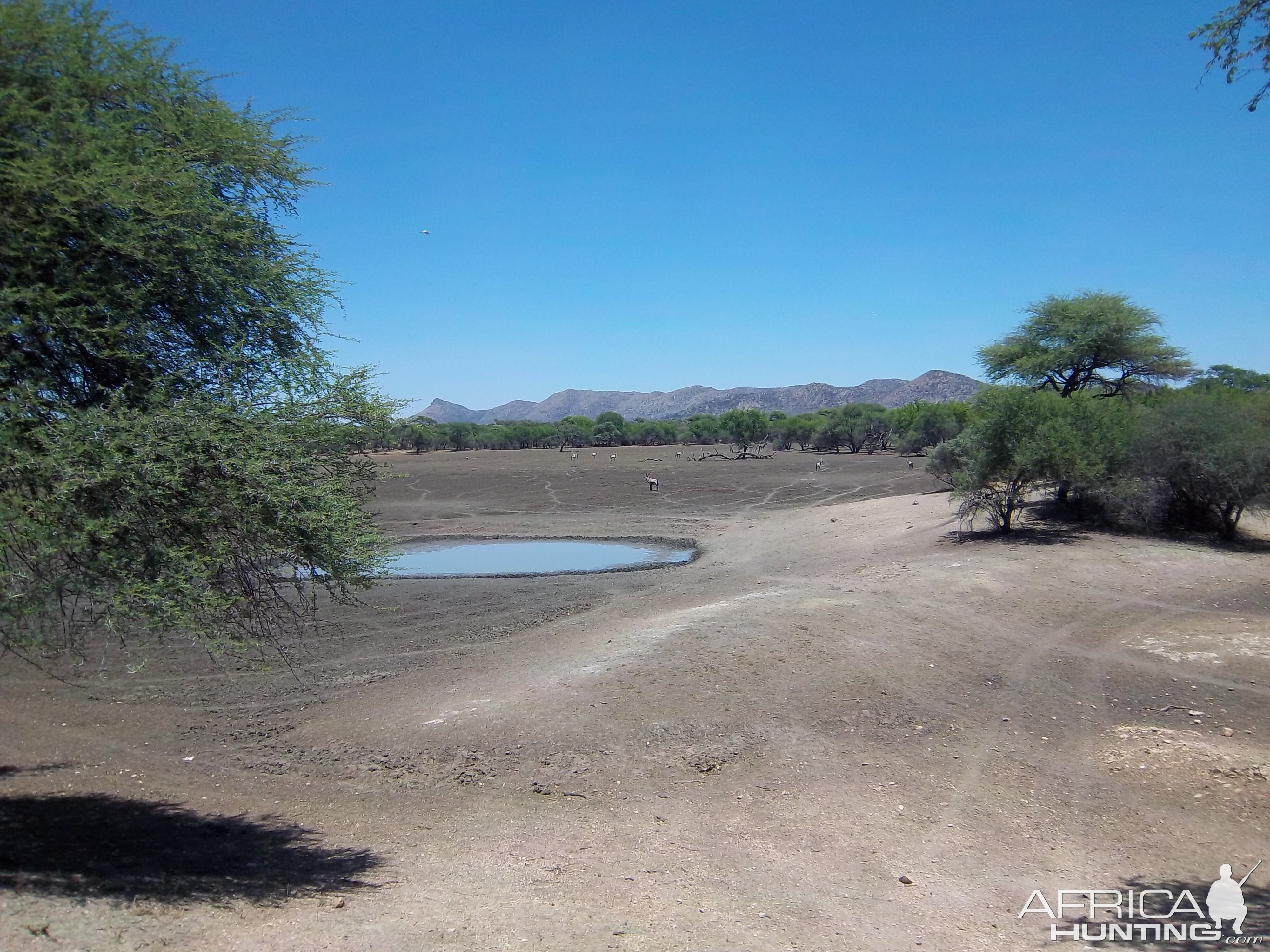 Hunting in Namibia