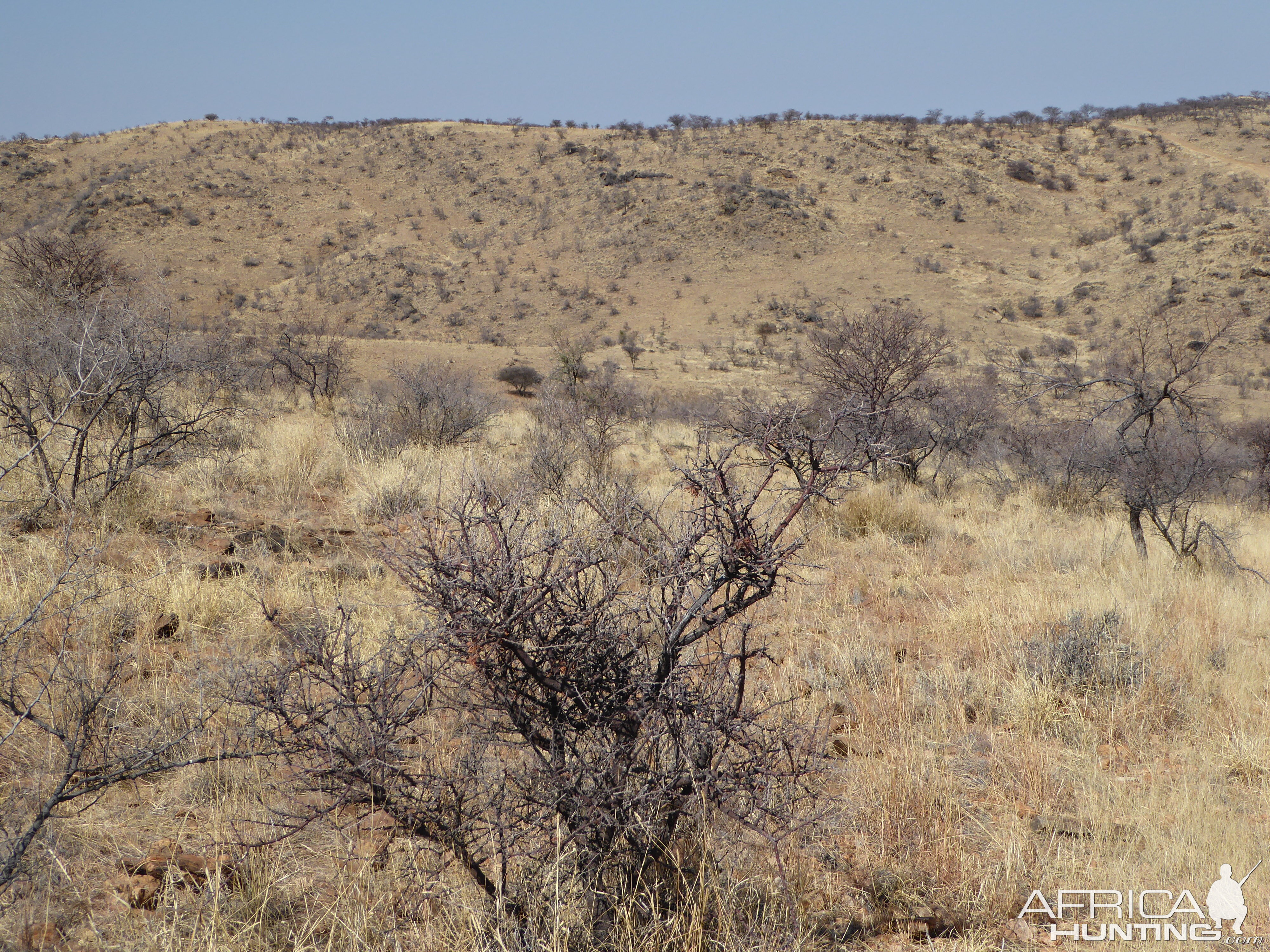 Hunting in Namibia