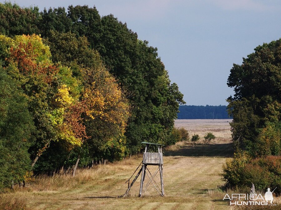 Hunting in Romania