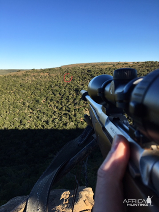 Hunting in South Africa