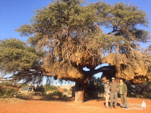 Hunting in South Africa