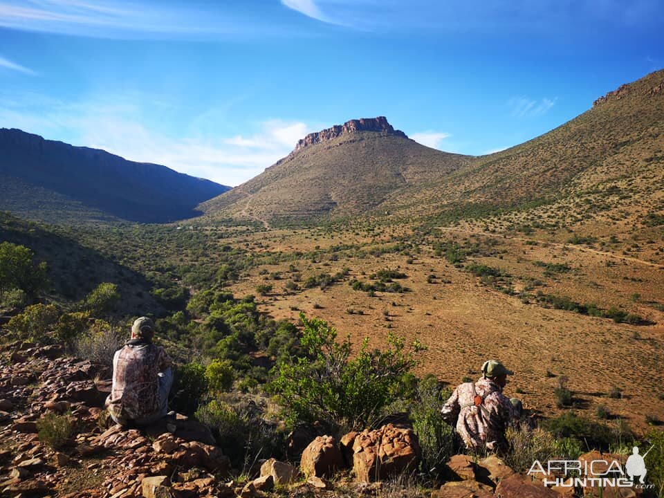 Hunting in South Africa