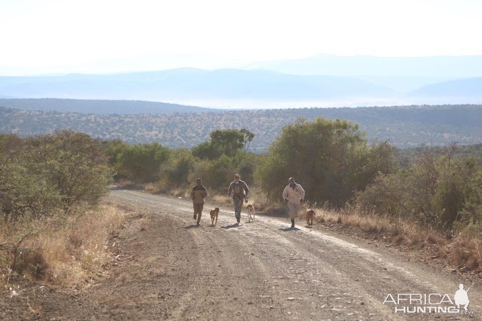 Hunting in South Africa