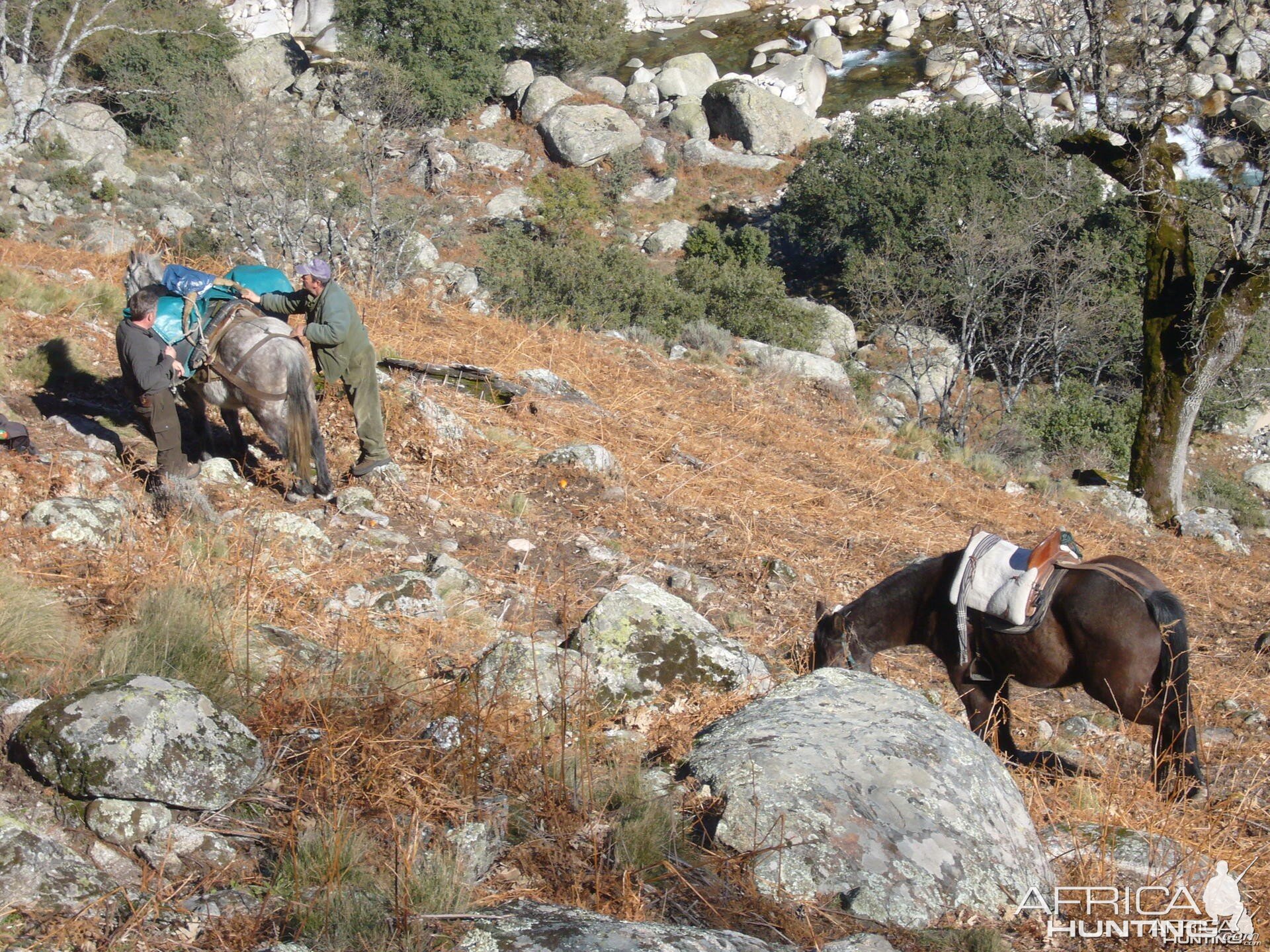 Hunting in Spain