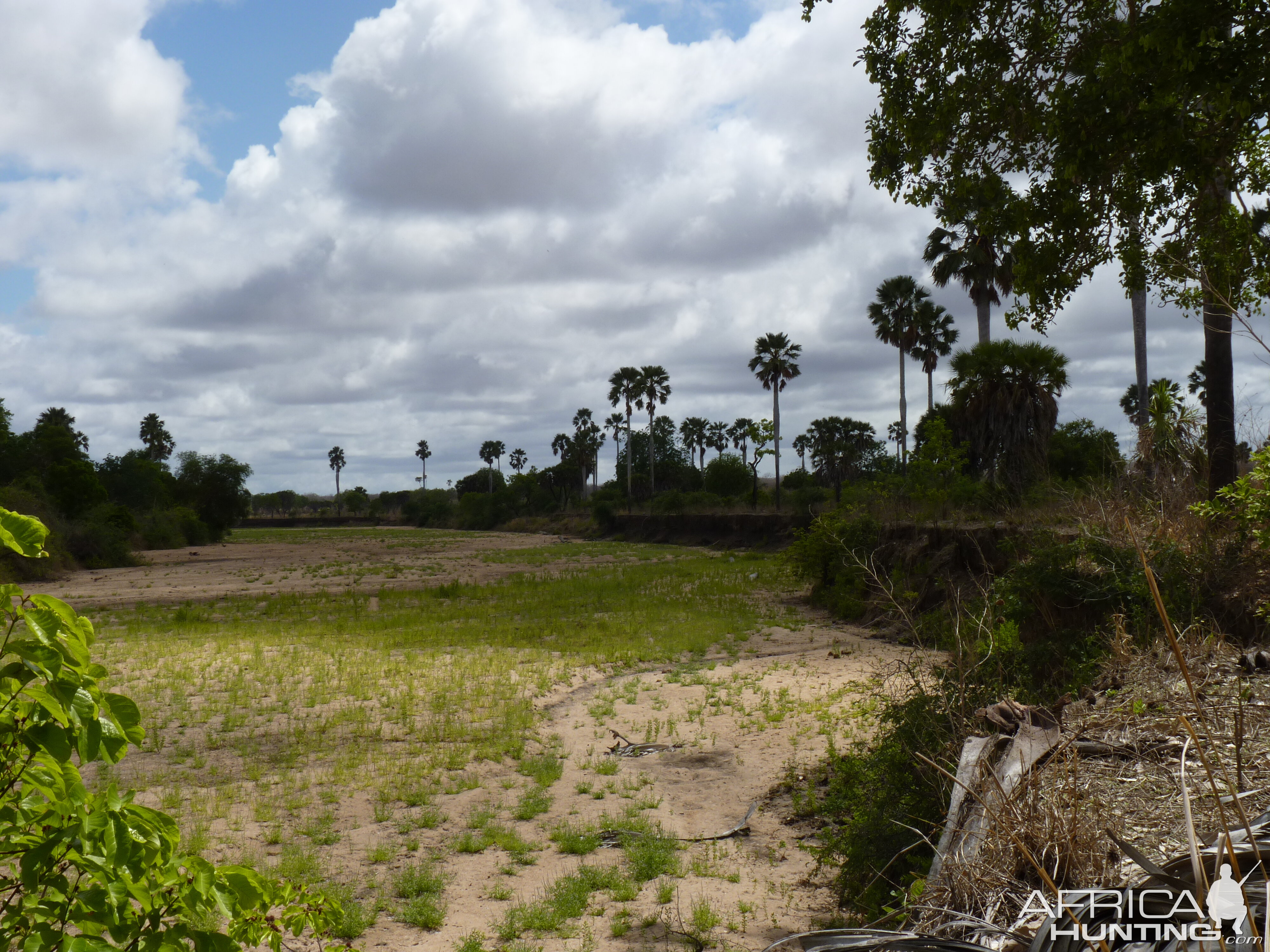 Hunting in Tanzania