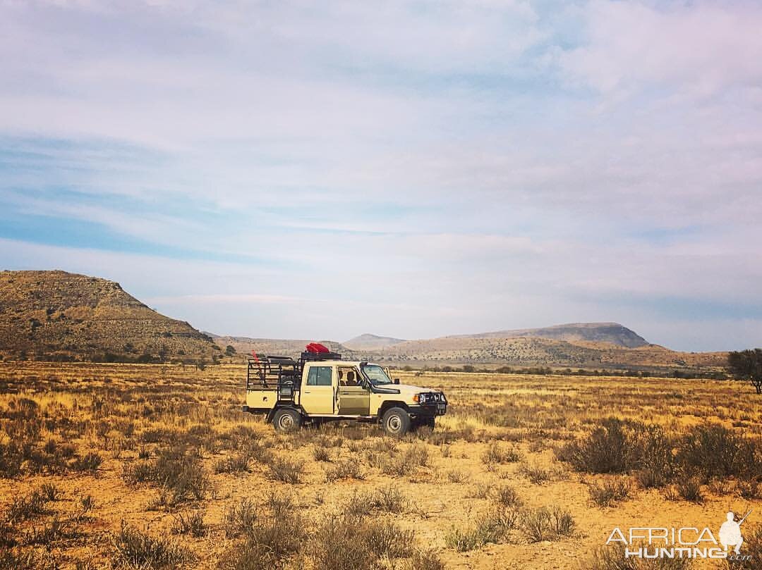 Hunting in the Karoo South Africa